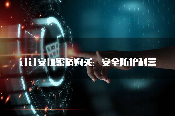 钉钉安恒密盾购买:安全防护利器