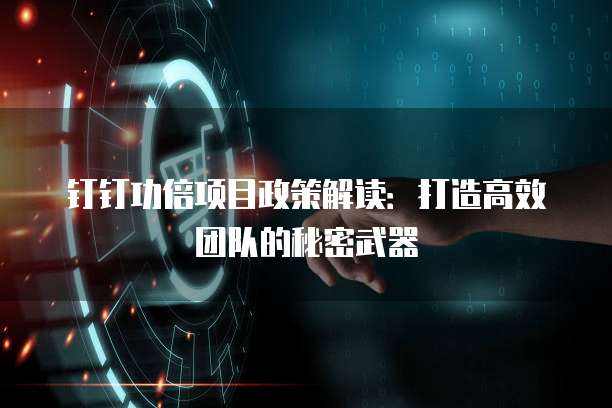钉钉功倍项目政策解读:打造高效团队的秘密武器