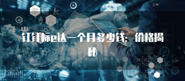 钉钉标e达一个月多少钱：价格揭秘