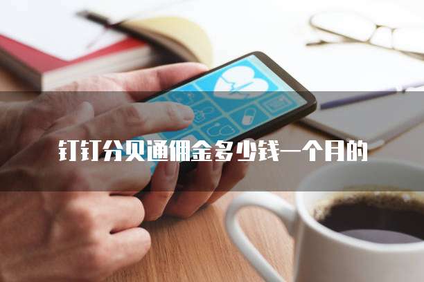 钉钉分贝通佣金多少钱一个月的