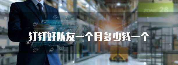 钉钉好队友一个月多少钱一个