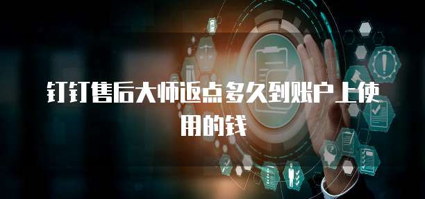 钉钉售后大师返点多久到账户上使用的钱