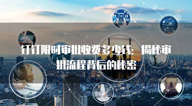 钉钉限时审批收费多少钱：揭秘审批流程背后的秘密