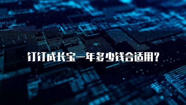 钉钉成长宝一年多少钱合适用？