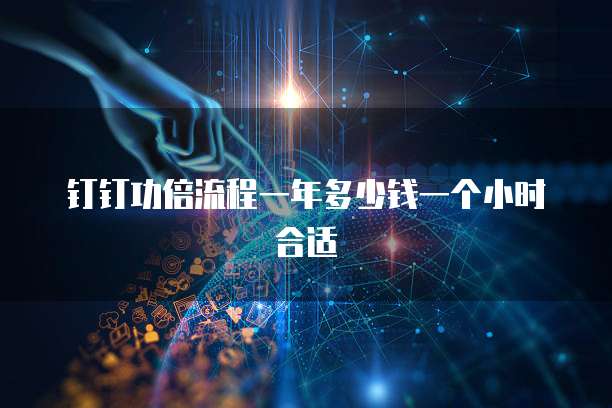 钉钉功倍流程一年多少钱一个小时合适