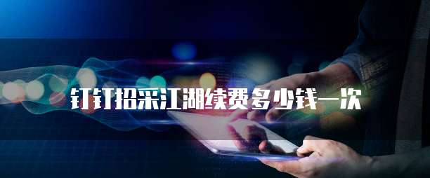 钉钉招采江湖续费多少钱一次