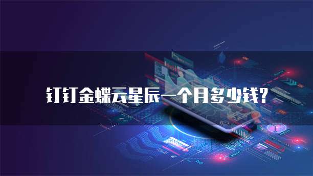 钉钉金蝶云星辰一个月多少钱？