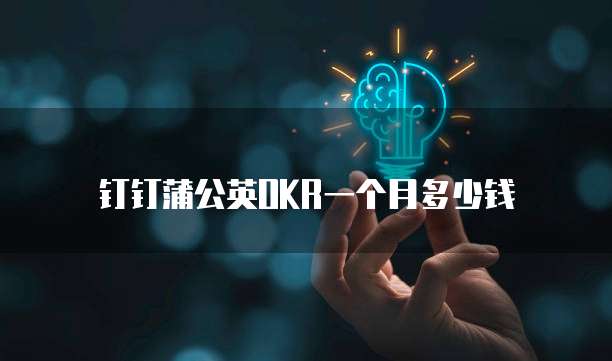 钉钉蒲公英OKR一个月多少钱