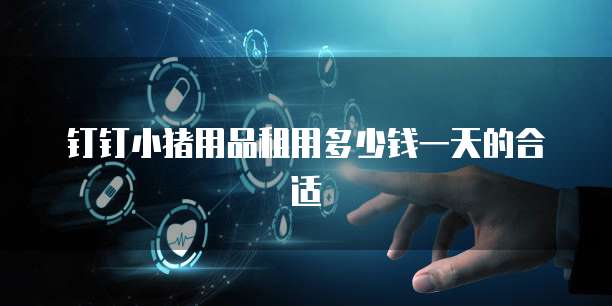 钉钉小猪用品租用多少钱一天的合适