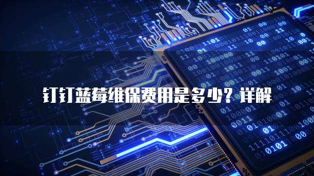 钉钉蓝莓维保费用是多少？详解