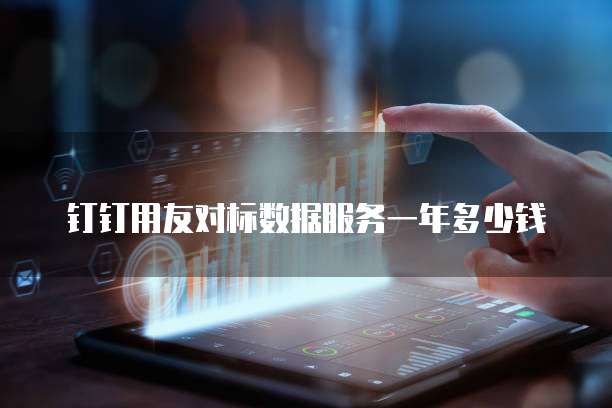 钉钉用友对标数据服务一年多少钱