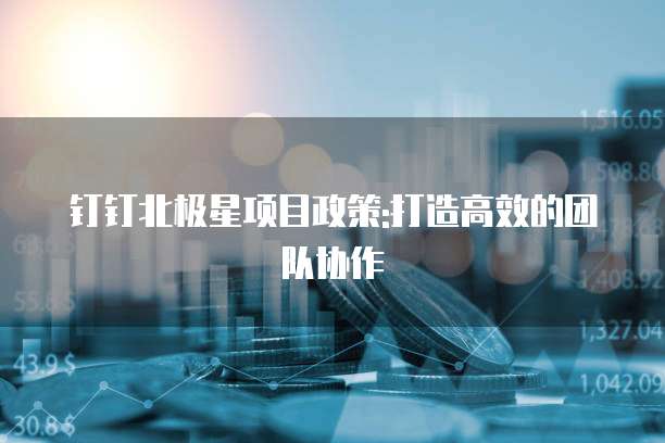 钉钉北极星项目政策:打造高效的团队协作