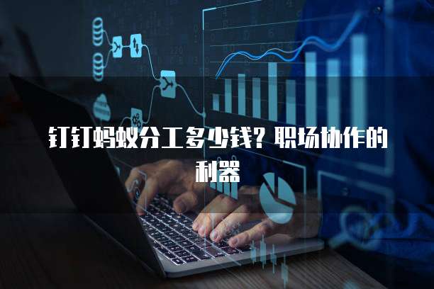 钉钉蚂蚁分工多少钱？职场协作的利器