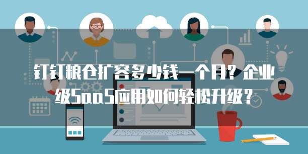 钉钉粮仓扩容多少钱一个月？企业级SaaS应用如何轻松升级？