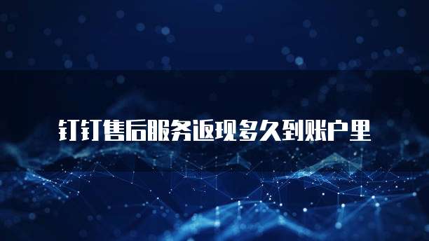 钉钉售后服务返现多久到账户里