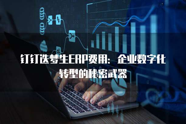 钉钉迭梦生ERP费用：企业数字化转型的秘密武器