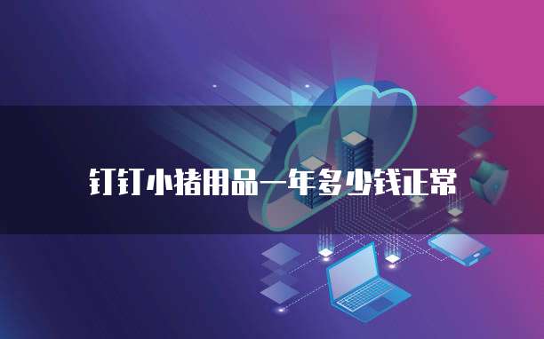 钉钉小猪用品一年多少钱正常