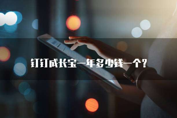 钉钉成长宝一年多少钱一个?