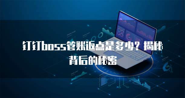 钉钉boss管账返点是多少？揭秘背后的秘密