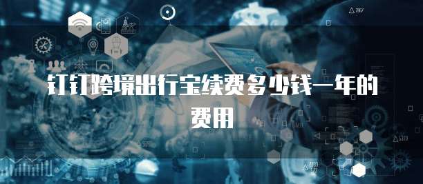 钉钉跨境出行宝续费多少钱一年的费用