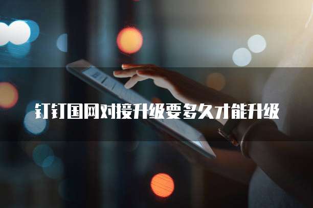 钉钉国网对接升级要多久才能升级