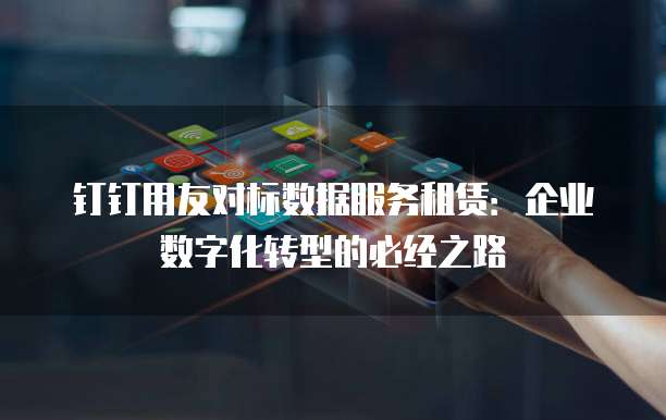 钉钉用友对标数据服务租赁:企业数字化转型的必经之路