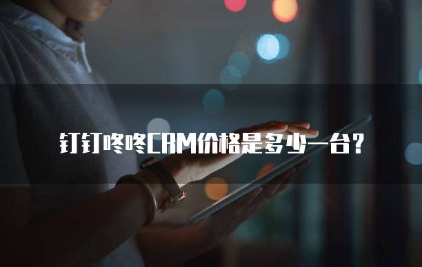 钉钉咚咚CRM价格是多少一台？
