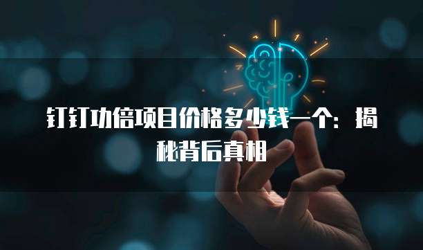 钉钉功倍项目价格多少钱一个:揭秘背后真相