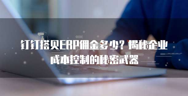 钉钉搭贝ERP佣金多少？揭秘企业成本控制的秘密武器