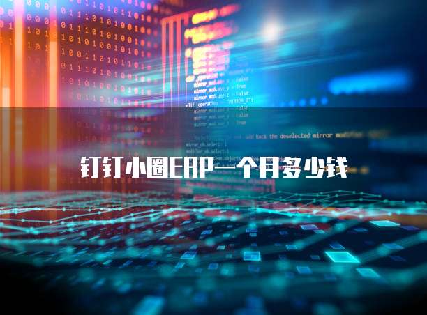 钉钉小圈ERP一个月多少钱