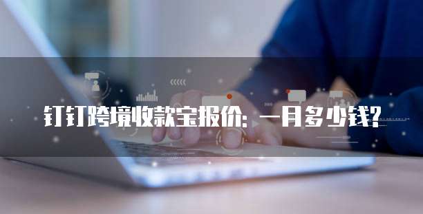 钉钉跨境收款宝报价: 一月多少钱?