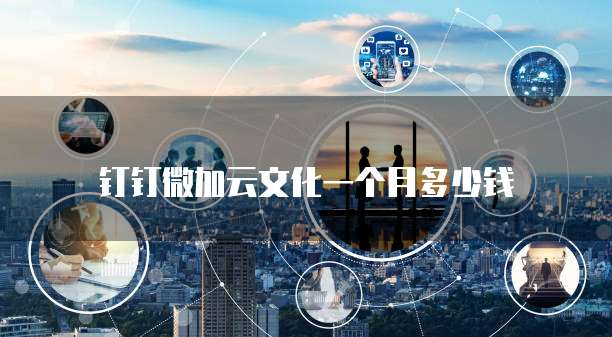 钉钉微加云文化一个月多少钱