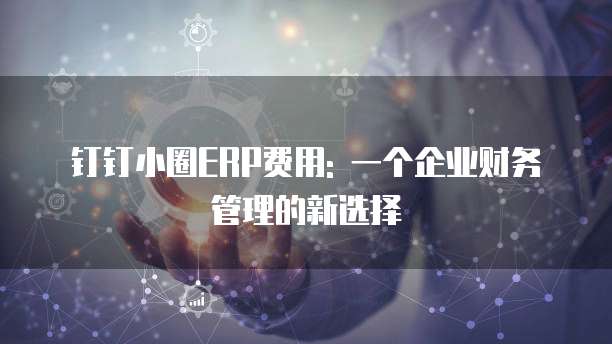 钉钉小圈ERP费用: 一个企业财务管理的新选择