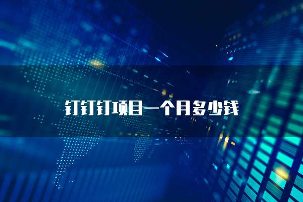 钉钉钉项目一个月多少钱