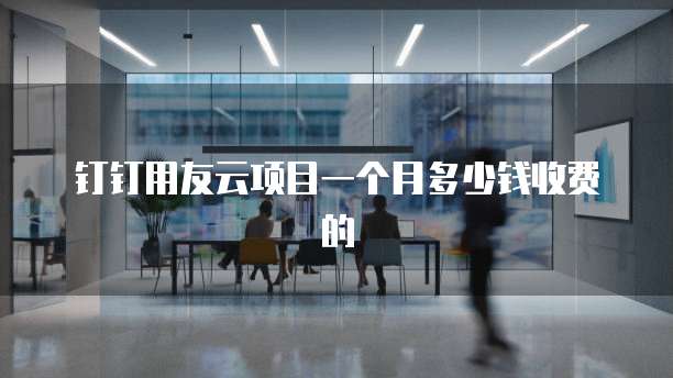 钉钉用友云项目一个月多少钱收费的