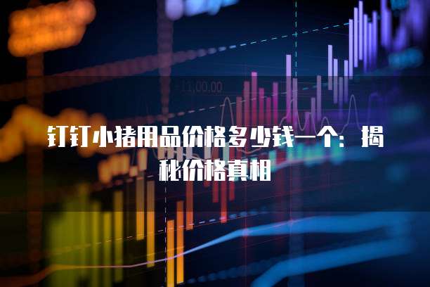 钉钉小猪用品价格多少钱一个：揭秘价格真相