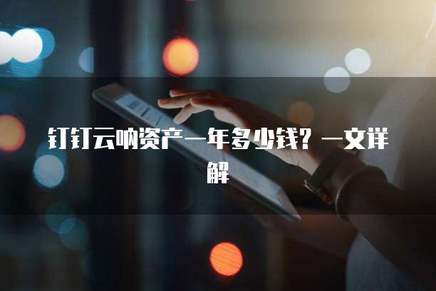 钉钉云呐资产一年多少钱?一文详解