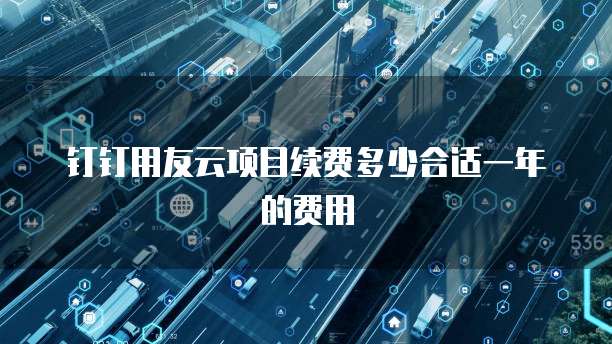 钉钉用友云项目续费多少合适一年的费用