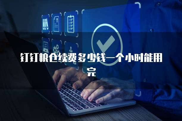 钉钉粮仓续费多少钱一个小时能用完