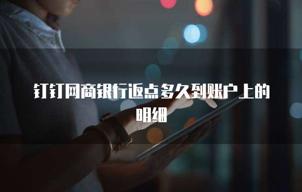 钉钉网商银行返点多久到账户上的明细