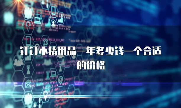 钉钉小猪用品一年多少钱一个合适的价格
