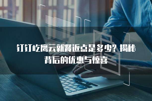 钉钉屹鹰云就餐返点是多少？揭秘背后的优惠与惊喜