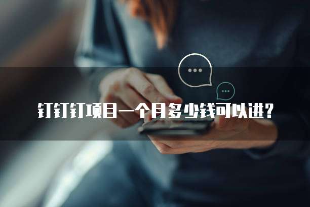 钉钉钉项目一个月多少钱可以进?