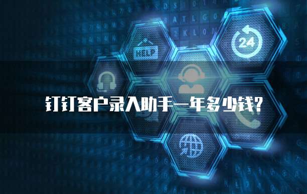 钉钉客户录入助手一年多少钱？
