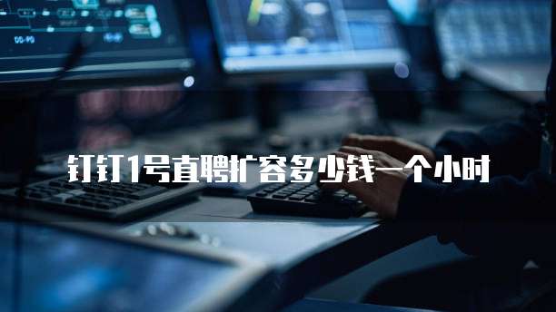 钉钉1号直聘扩容多少钱一个小时