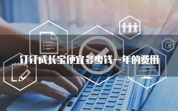 钉钉成长宝便宜多少钱一年的费用