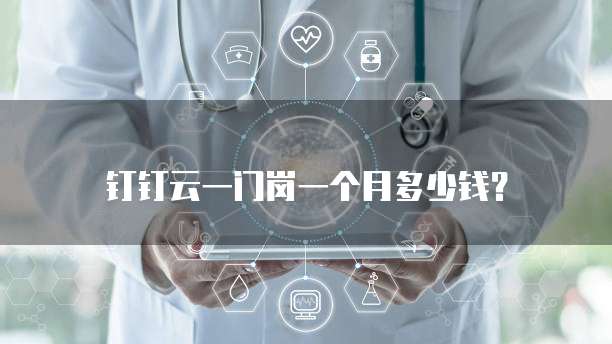 钉钉云一门岗一个月多少钱？