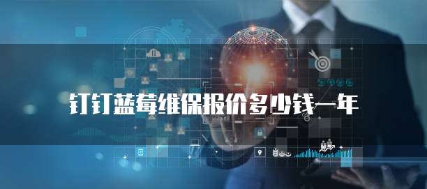 钉钉蓝莓维保报价多少钱一年