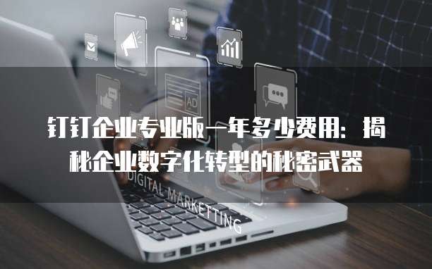 钉钉企业专业版一年多少费用:揭秘企业数字化转型的秘密武器