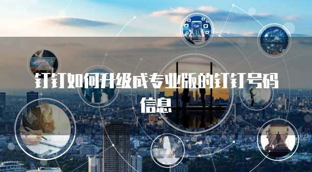 钉钉如何升级成专业版的钉钉号码信息